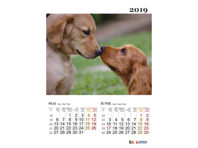 Calendar A3 Animale Tandre - 2019 - Fotografie 3