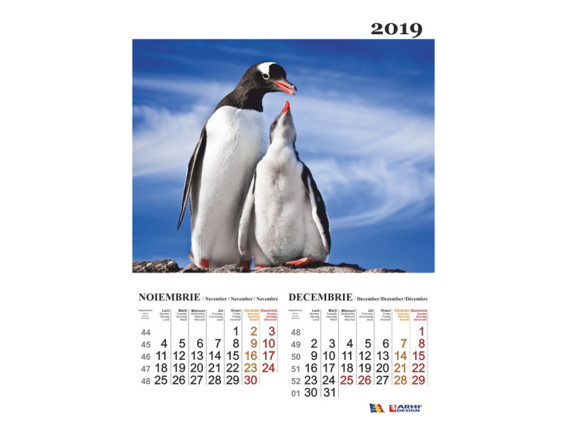 Calendar A3 Animale Tandre - 2019 - Fotografie 6