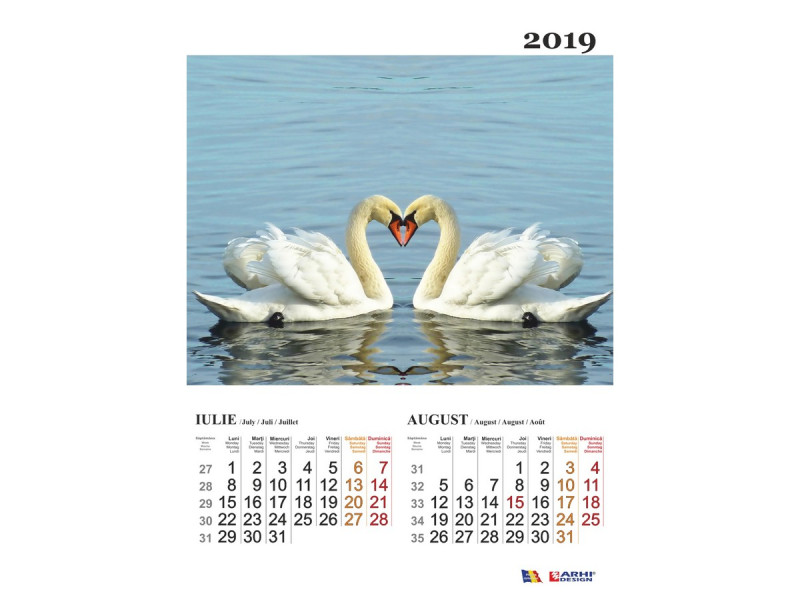 Calendar A3 Animale Tandre - 2019 - Fotografie 4