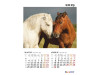 Calendar A3 Animale Tandre - 2019 - imagine 2
