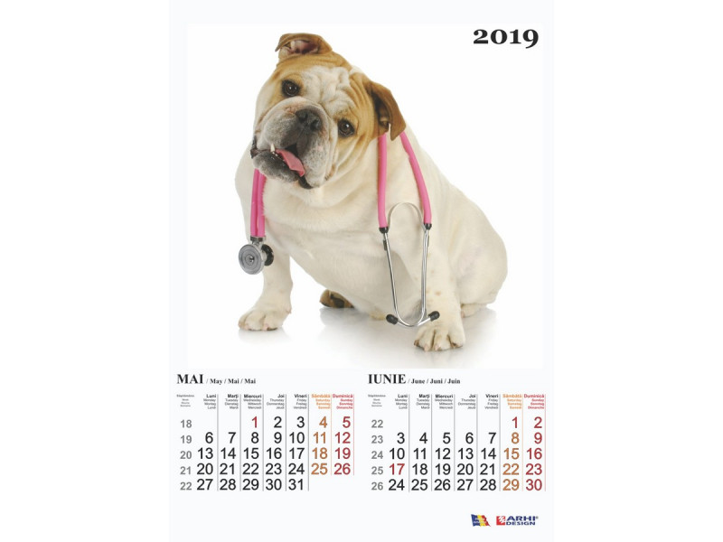Calendar A3 Catei - 2019 - Fotografie 2