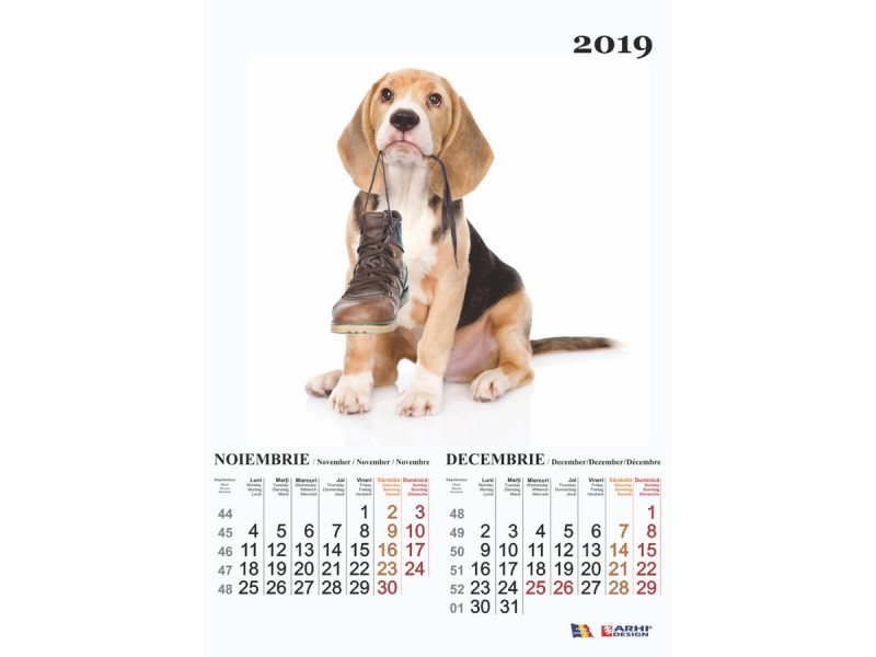 Calendar A3 Catei - 2019 - Fotografie 5