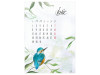 Calendar A3 Fructe Pictate - imagine 7