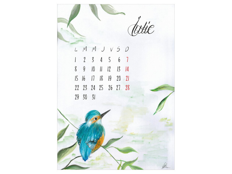 Calendar A3 Fructe Pictate - Fotografie 7