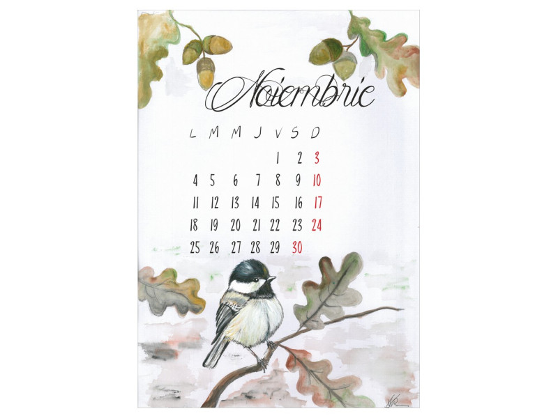 Calendar A3 Fructe Pictate - Fotografie 11