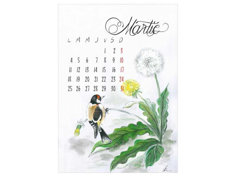 Calendar A3 Fructe Pictate - Fotografie 3