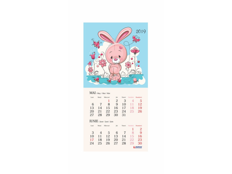 Calendar Animatii si Orar + suport carton pe spate predesenat  - 2019 - Fotografie 4