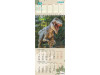 Calendar cu Dinozauri si Orar - 2019 - imagine 1