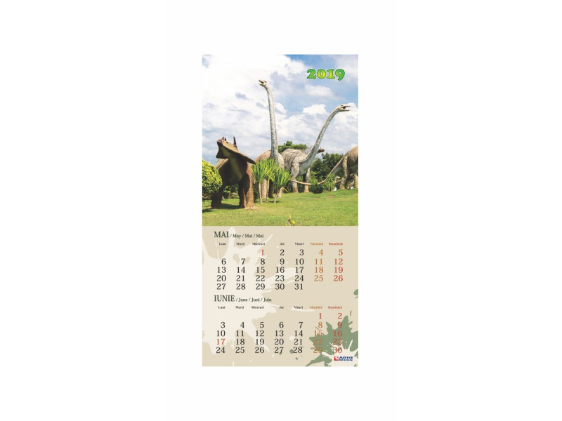 Calendar cu Dinozauri si Orar - 2019 - Fotografie 3