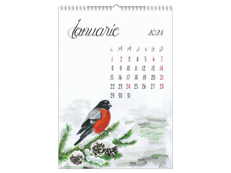 Calendar 2024 de perete A3 Artistic, Pasari pictate - Fotografie 1
