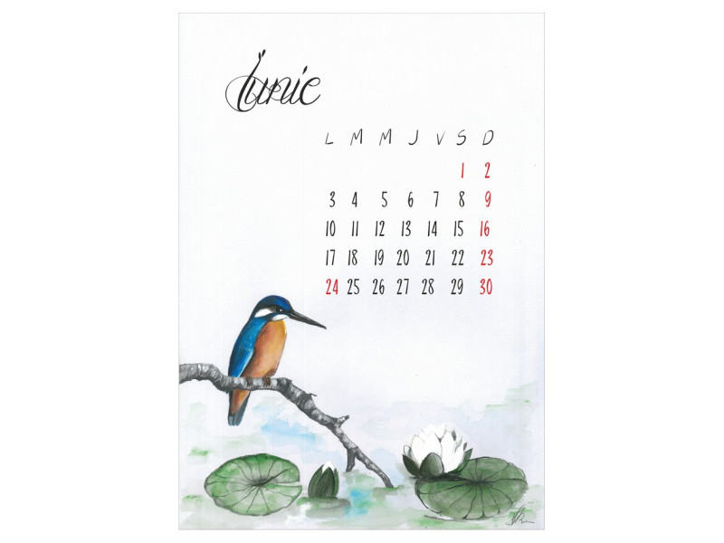 Calendar 2024 de perete A3 Artistic, Pasari pictate - Fotografie 5
