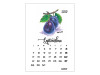 Calendar perete A5 FRUCTE PICTATE - imagine 10