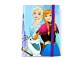Carnetel Frozen Elsa Ana si Olaf - Disney Bleu