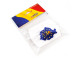 Insigna pin dublu steag Romania si UE