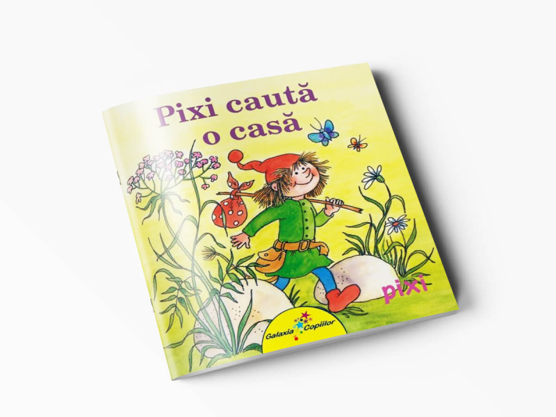 PIXI CAUTA O CASA - Simone Nettingsmeier - Fotografie 1