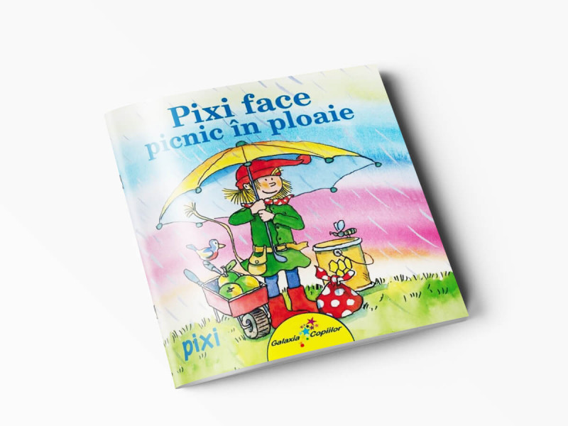 PIXI FACE PICNIC IN PLOAIE - Julia Boehme - Fotografie 1