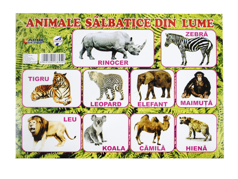 Plansa Animalele salbatice din lume A4 din carton cu lacuire UV - Fotografie 1