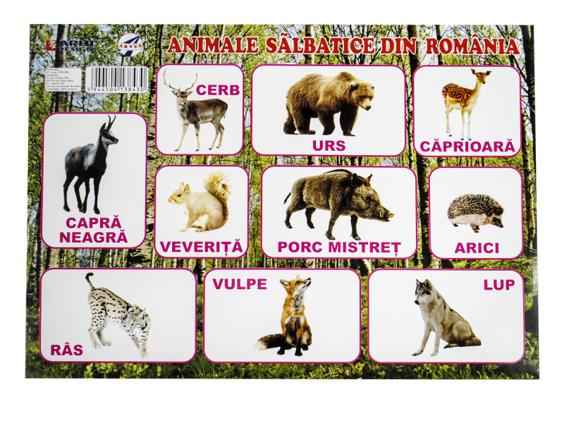 Plansa Animalele Salbatice din Romania A3 - Fotografie 1