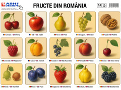 Plansa Fructe A3