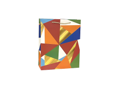 Punga cadou Multicolora, dimensiune 18*23*8 cm, Model 1