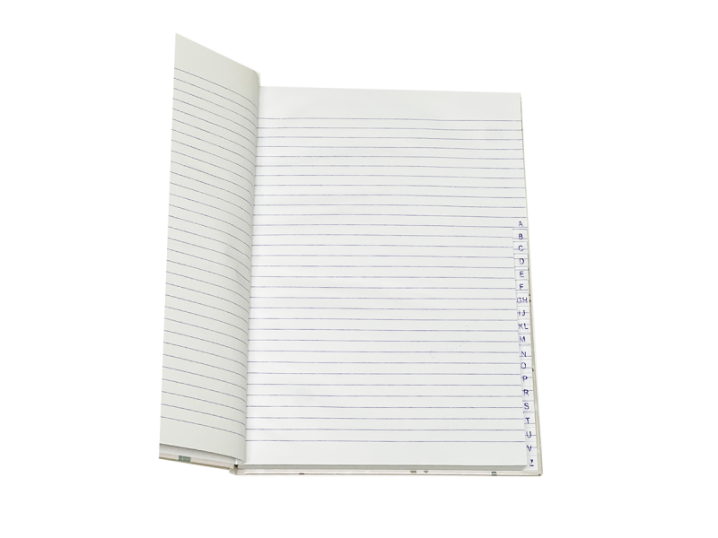 Repertoar A4, coperta cartonata, Romana, 192 file, Roz pal - Fotografie 3