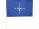 Steag NATO textil 100% poliester, bat de plastic, dimensiune 45 x 30 cm