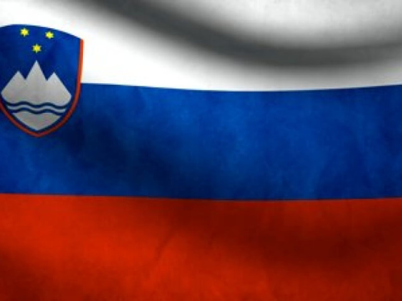 Steag Slovenia - Fotografie 1