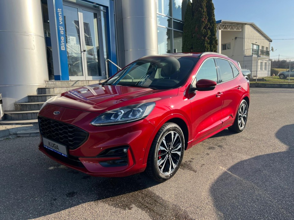 69414eb2dcd6f1765887666 1769414eb3401e9