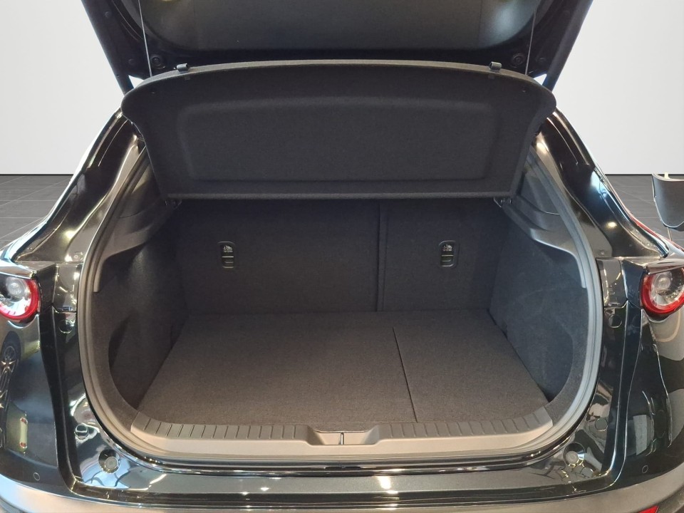 Mazda CX-30 e-SKYACTIV X186 AWD AT MHEV Nagisa