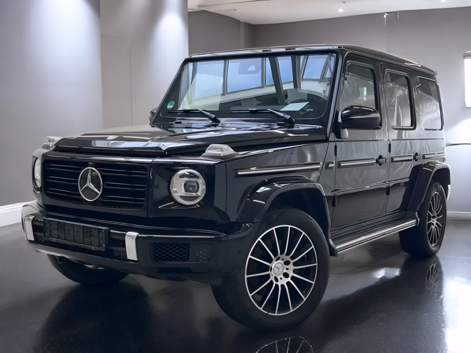 Mercedes-Benz G 350d (3)