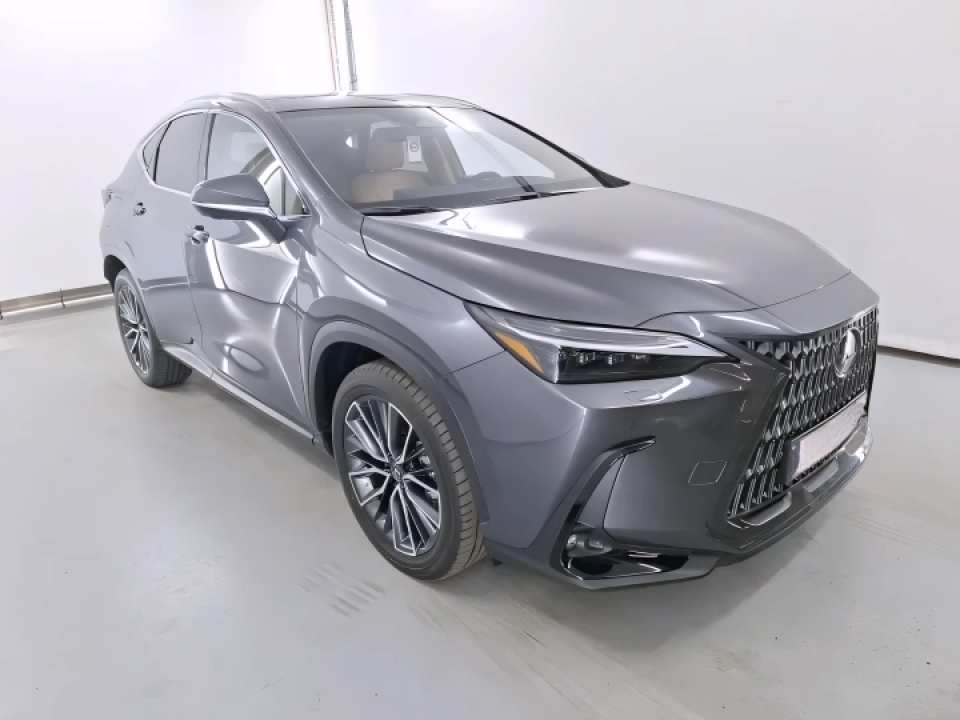 Lexus Seria NX 450h+ Luxury