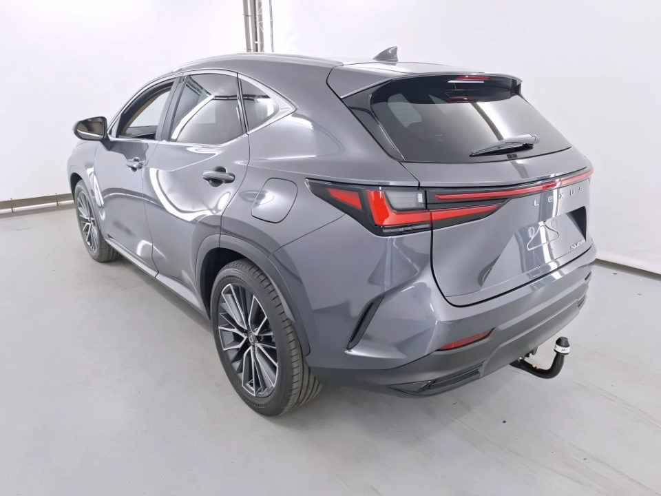 Lexus Seria NX 450h+ Luxury (2)