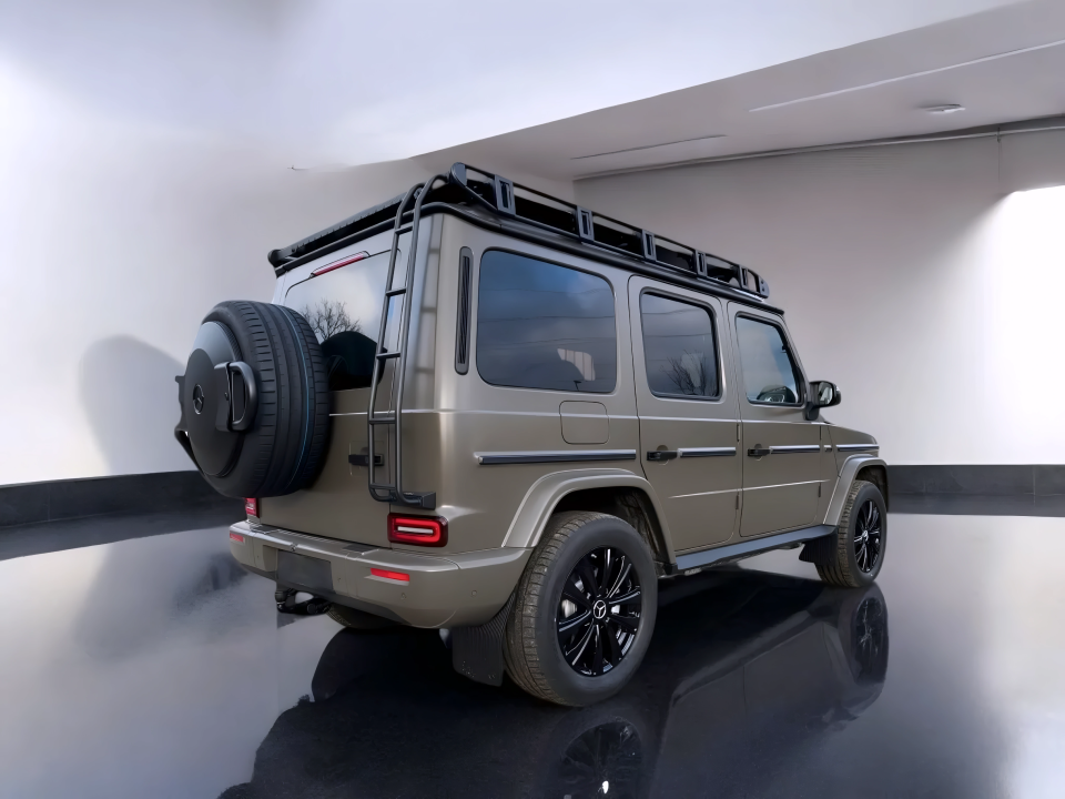 Mercedes-Benz G 450d Professional Line (3)