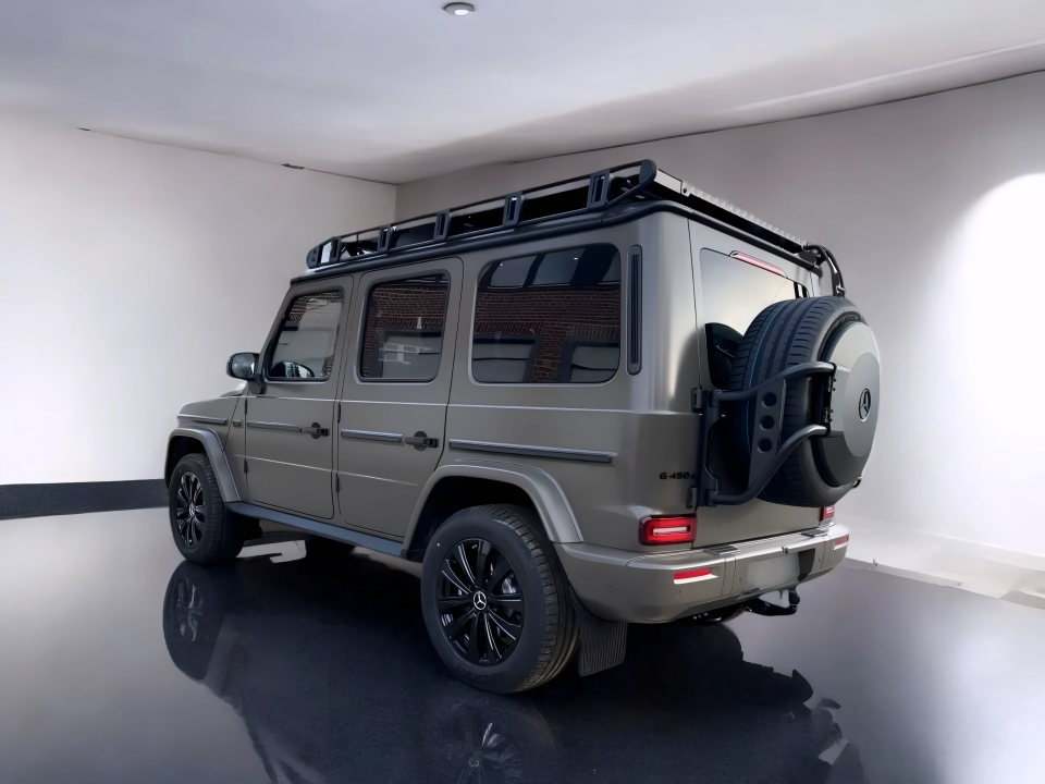 Mercedes-Benz G 450d Professional Line (4)