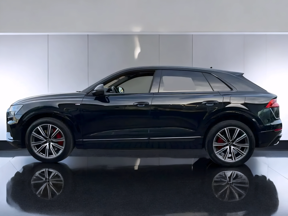 Audi Q8 60 TFSIe quattro tiptronic S-Line (3)