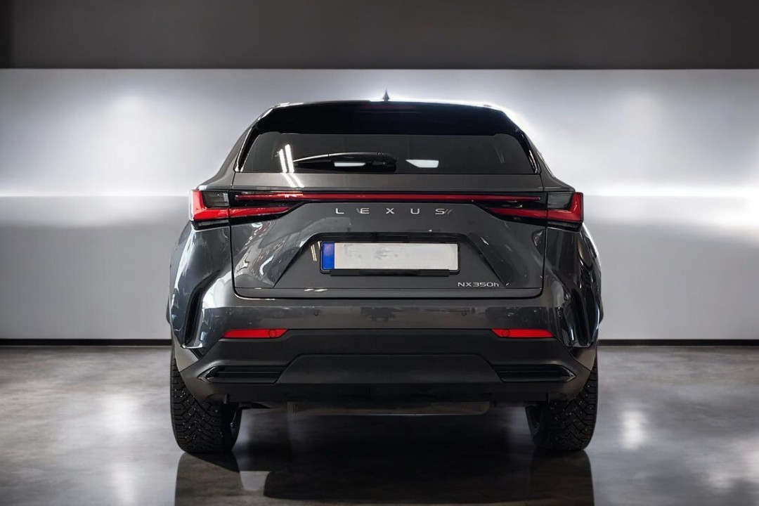 Lexus Seria NX 350h AWD Executive (5)