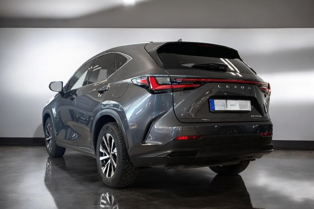 Lexus Seria NX 350h AWD Executive (4)