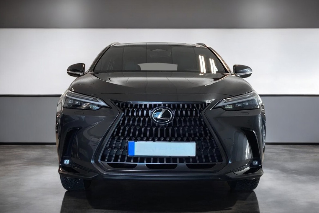 Lexus Seria NX 350h AWD Executive (2)