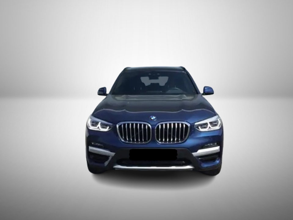 BMW X3 xDrive30i xLine (2)