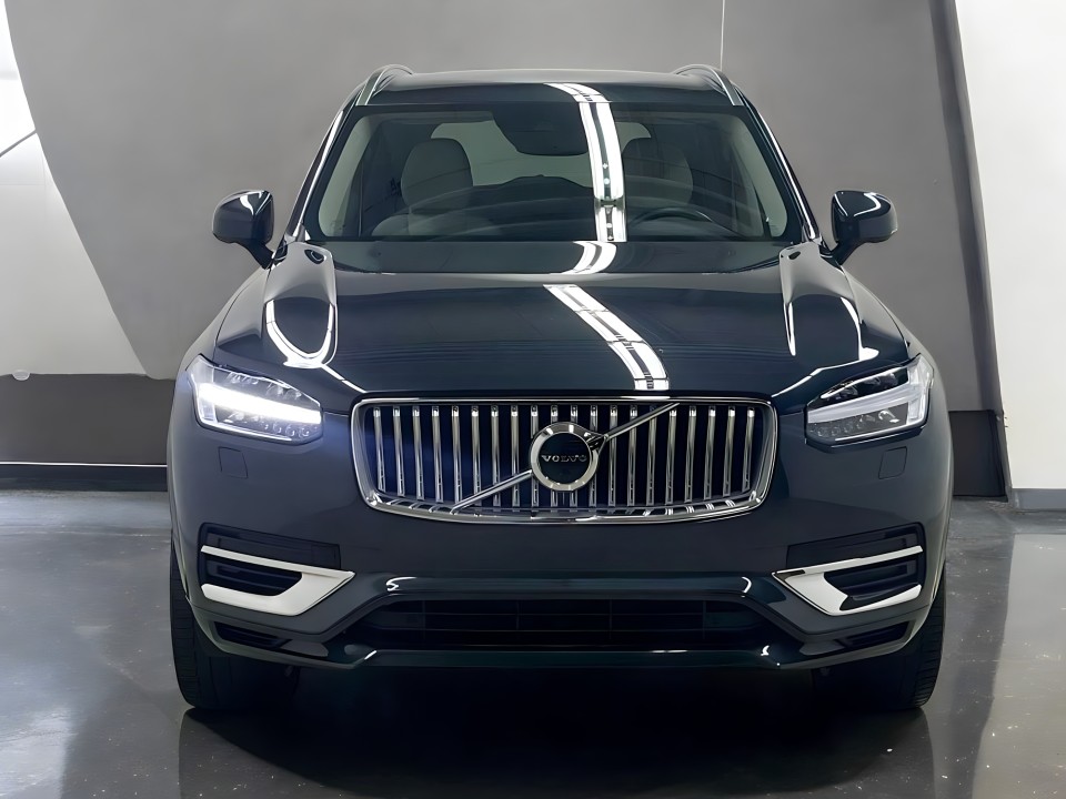 Volvo XC 90 (2)
