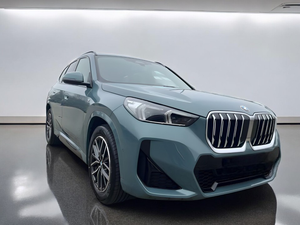 BMW X1 xDrive23d
