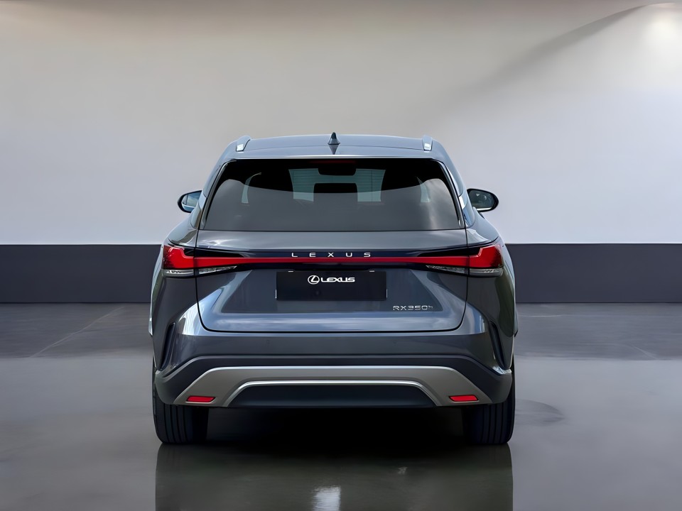 Lexus Seria RX 350h AWD Executive (4)