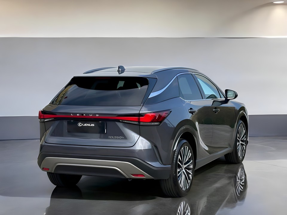 Lexus Seria RX 350h AWD Executive (3)