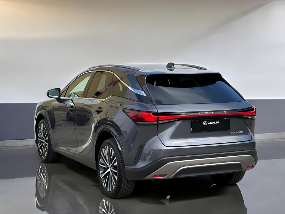 Lexus Seria RX 350h AWD Executive (5)