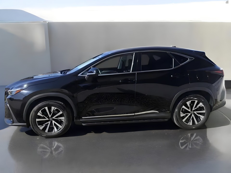 Lexus NX (3)