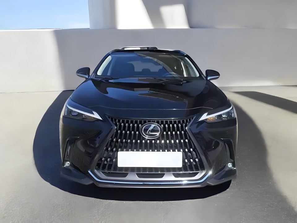 Lexus NX (2)