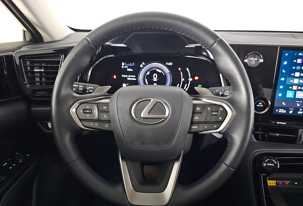 Lexus NX (5)