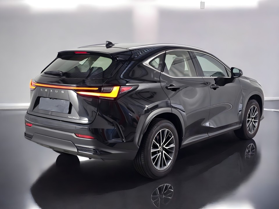 Lexus NX (3)