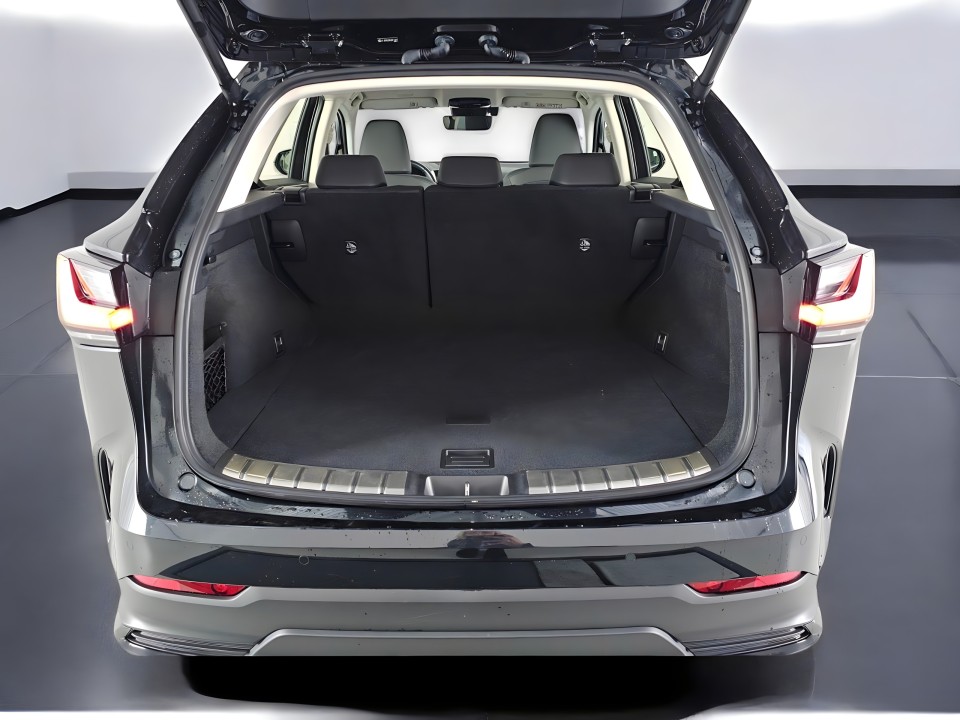 Lexus NX - foto 15