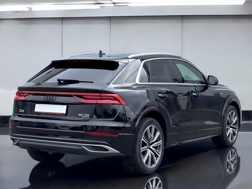 Audi Q8 50 TDI quattro (4)
